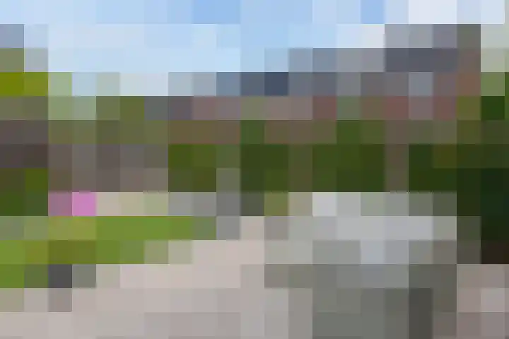 Pastoor C. Vasselaan 26 De Kwakel thumbnail 20