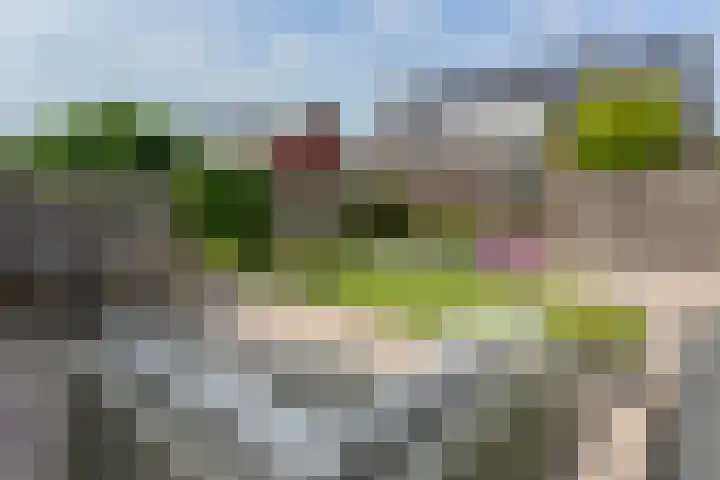 Pastoor C. Vasselaan 26 De Kwakel thumbnail 21
