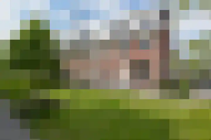 Pastoor C. Vasselaan 26 De Kwakel thumbnail 22