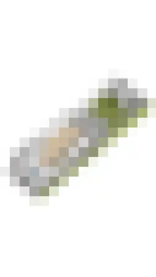 Pastoor C. Vasselaan 26 De Kwakel thumbnail 26