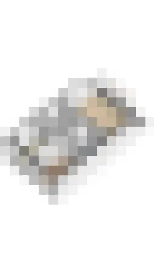 Pastoor C. Vasselaan 26 De Kwakel thumbnail 30