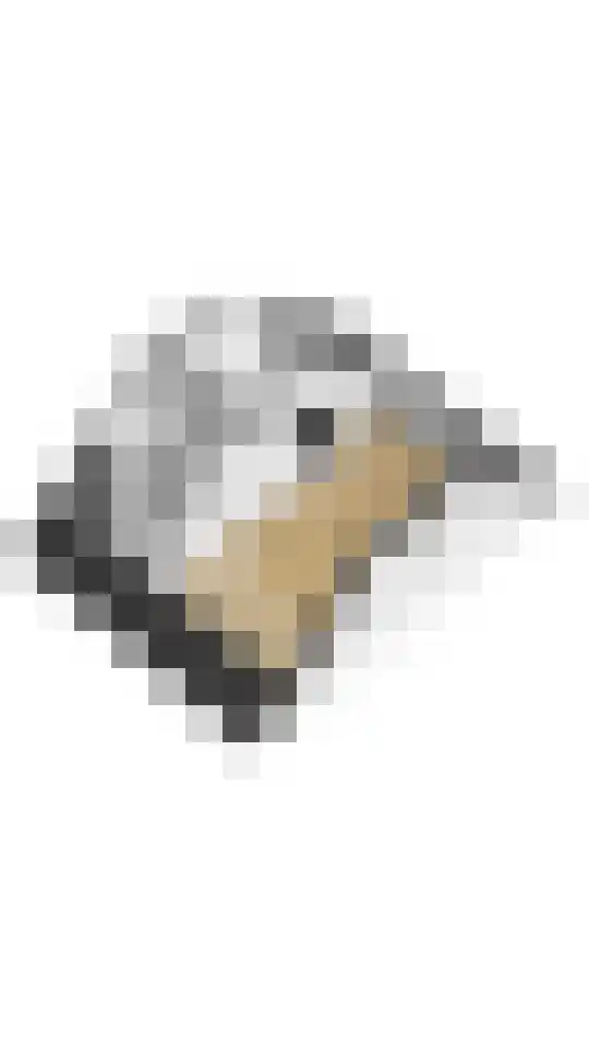 Pastoor C. Vasselaan 26 De Kwakel thumbnail 32