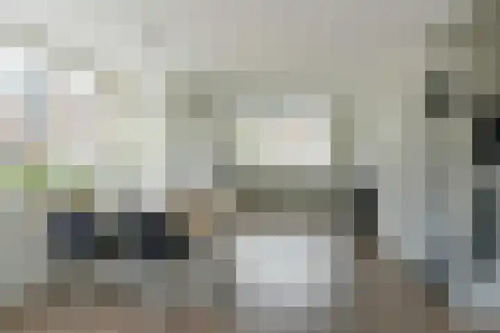 Pastoor C. Vasselaan 26 De Kwakel thumbnail 7