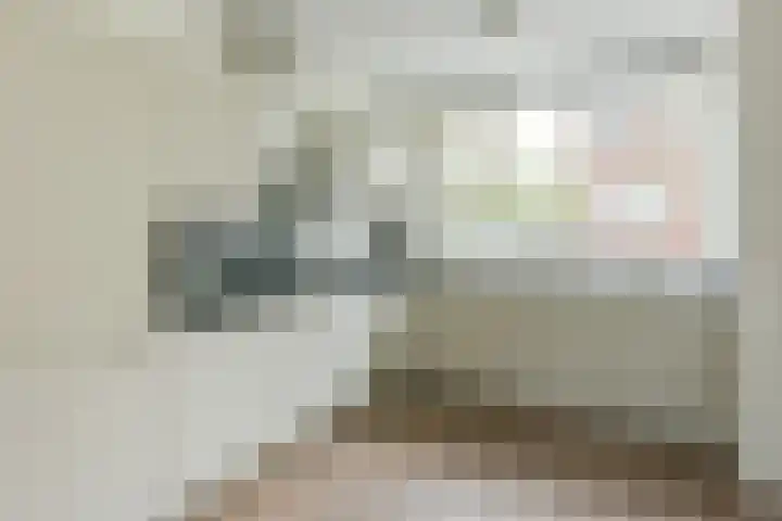 Pastoor C. Vasselaan 26 De Kwakel thumbnail 8