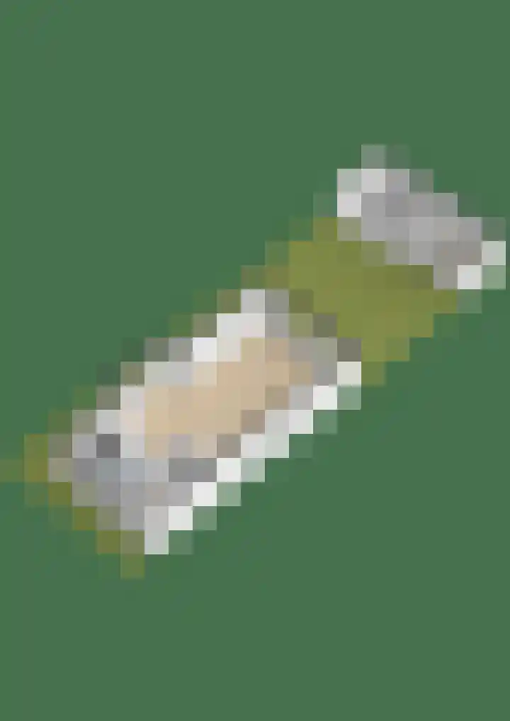 Pastoor C. Vasselaan 34 De Kwakel thumbnail 4