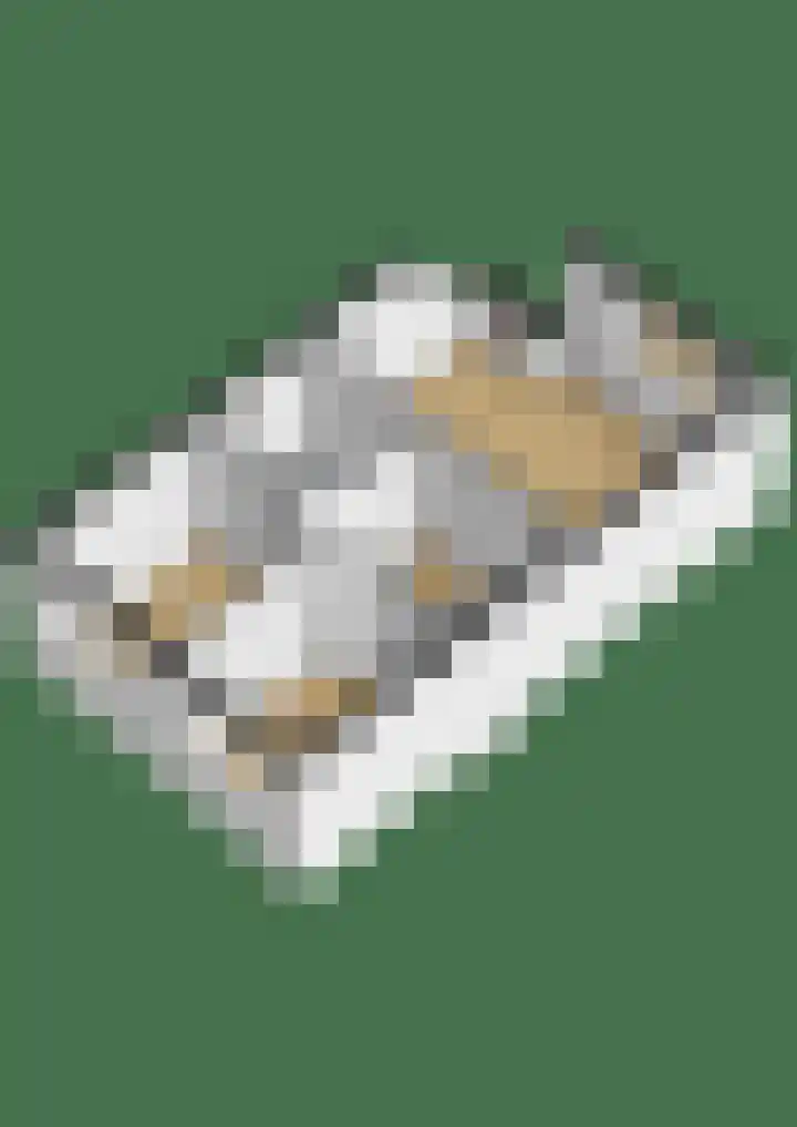 Pastoor C. Vasselaan 34 De Kwakel thumbnail 8