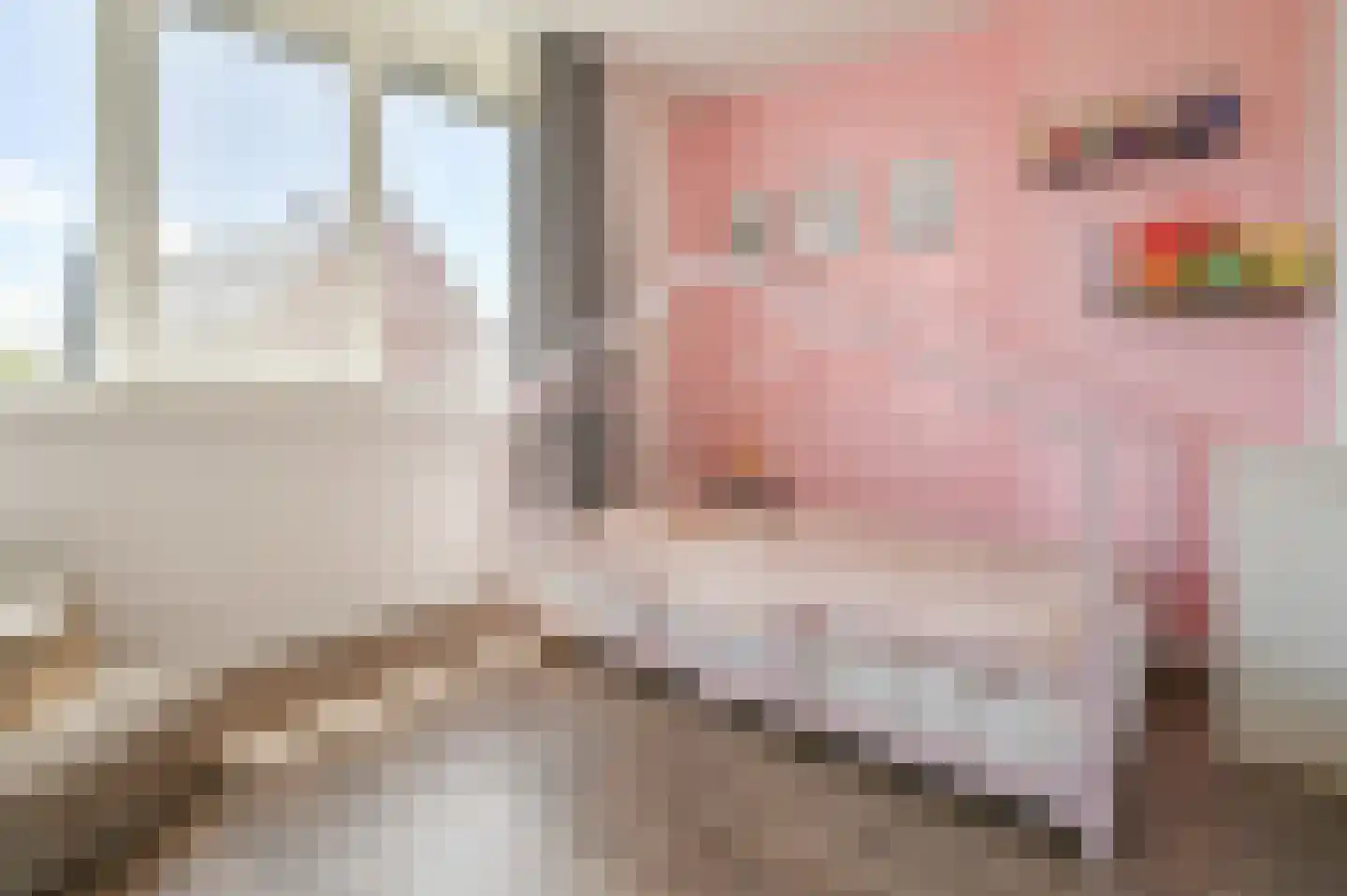 Pastoor C. Vasselaan 9 De Kwakel thumbnail 11