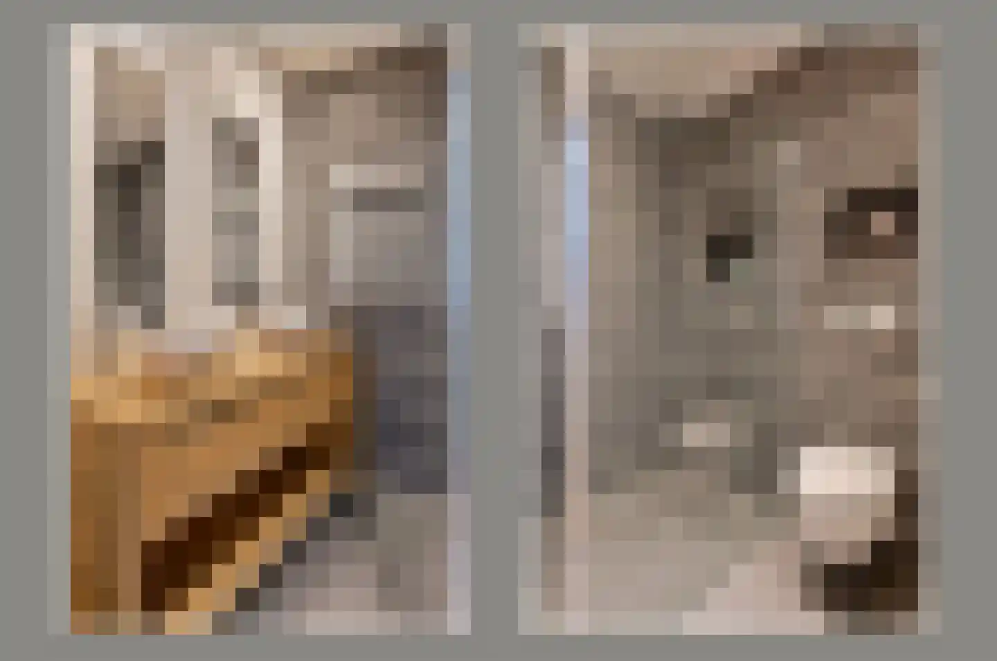 Pastoor C. Vasselaan 9 De Kwakel thumbnail 13
