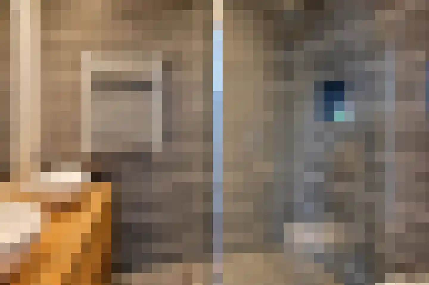 Pastoor C. Vasselaan 9 De Kwakel thumbnail 14