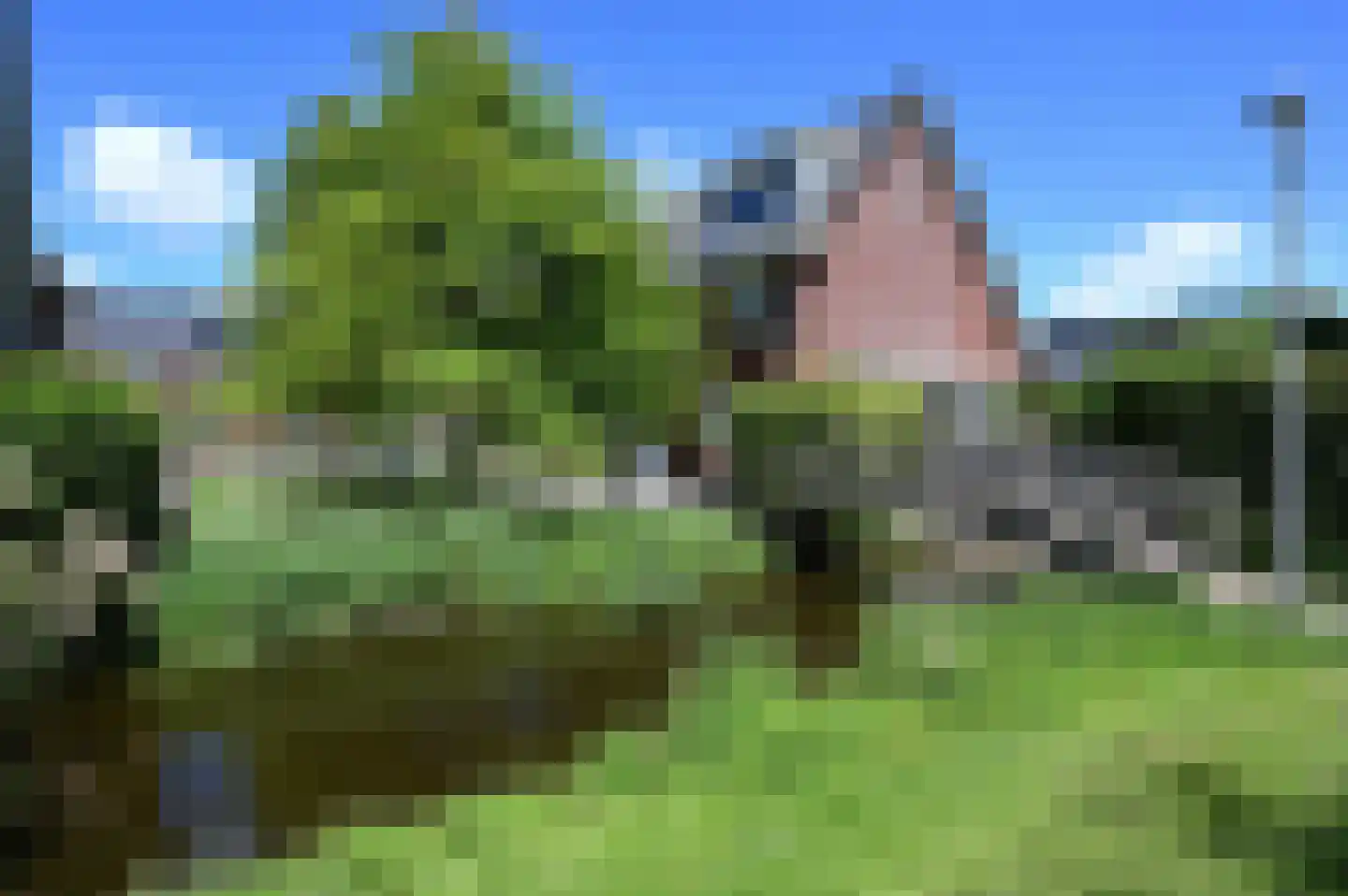 Pastoor C. Vasselaan 9 De Kwakel thumbnail 25