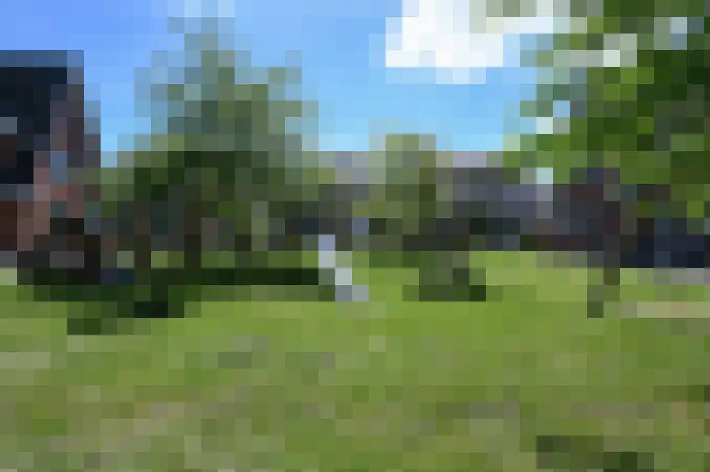 Pastoor C. Vasselaan 9 De Kwakel thumbnail 26