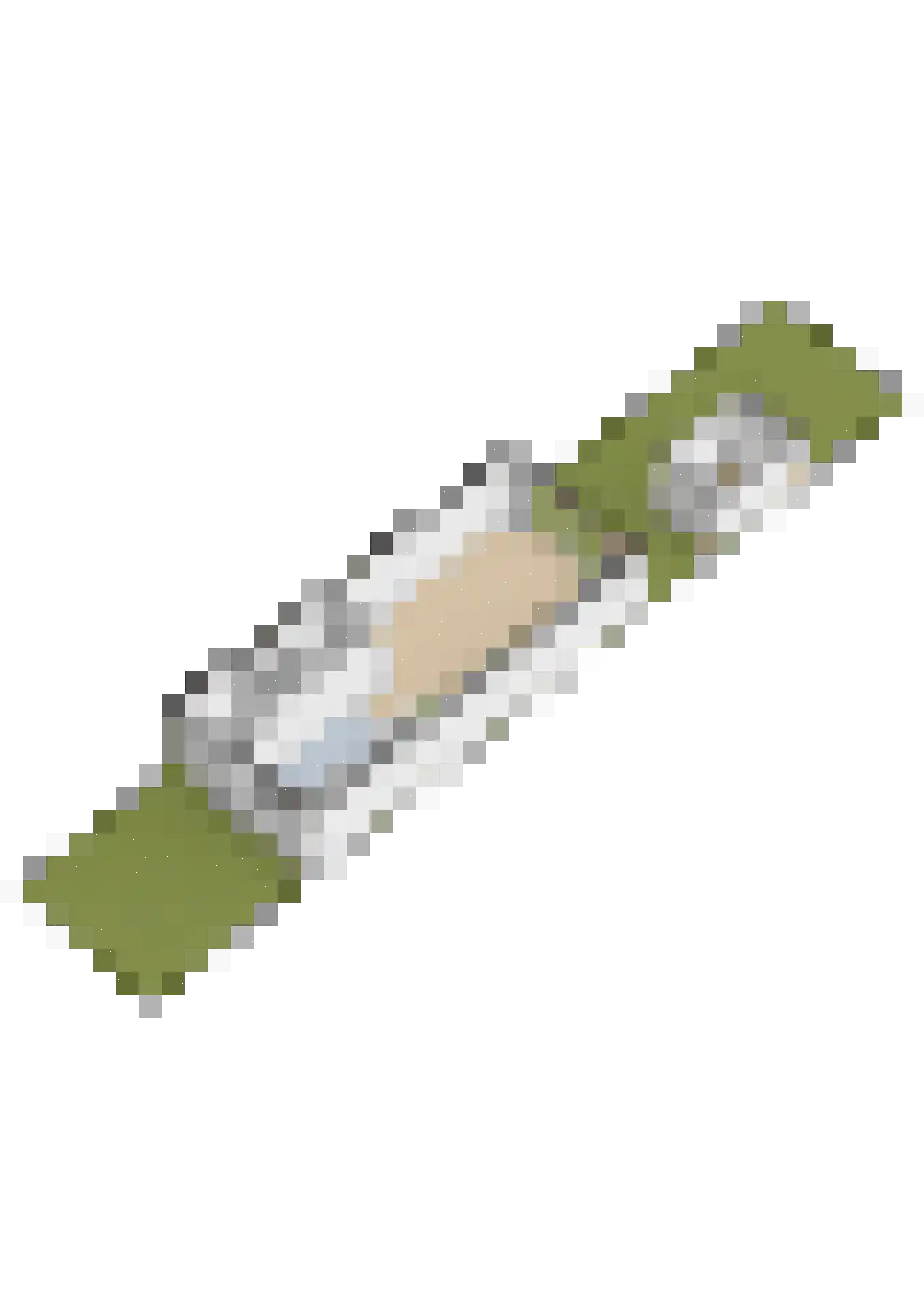 Pastoor C. Vasselaan 9 De Kwakel thumbnail 28