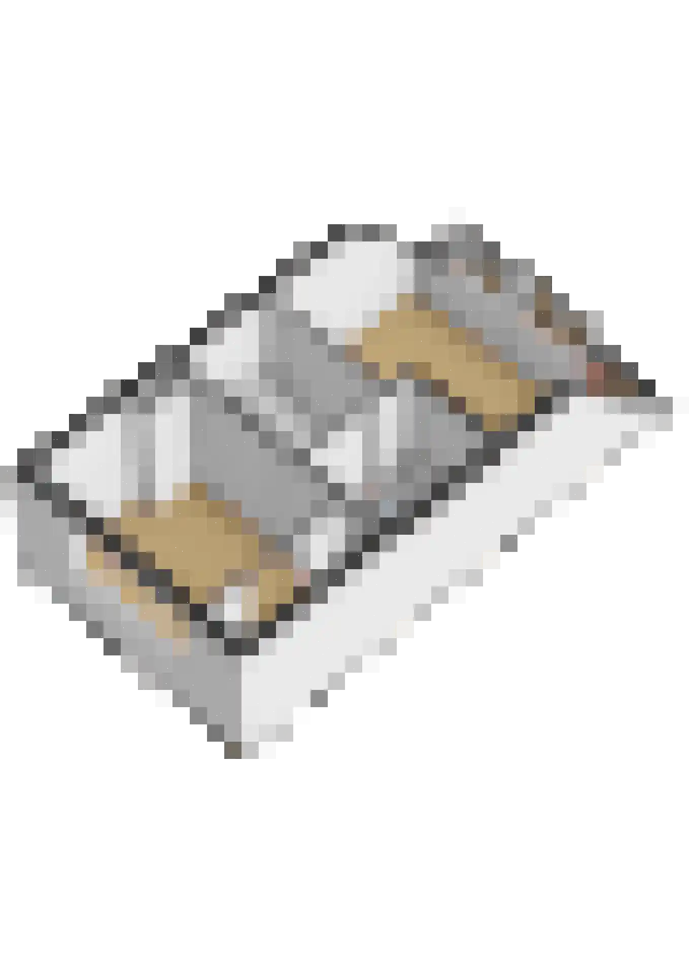 Pastoor C. Vasselaan 9 De Kwakel thumbnail 32