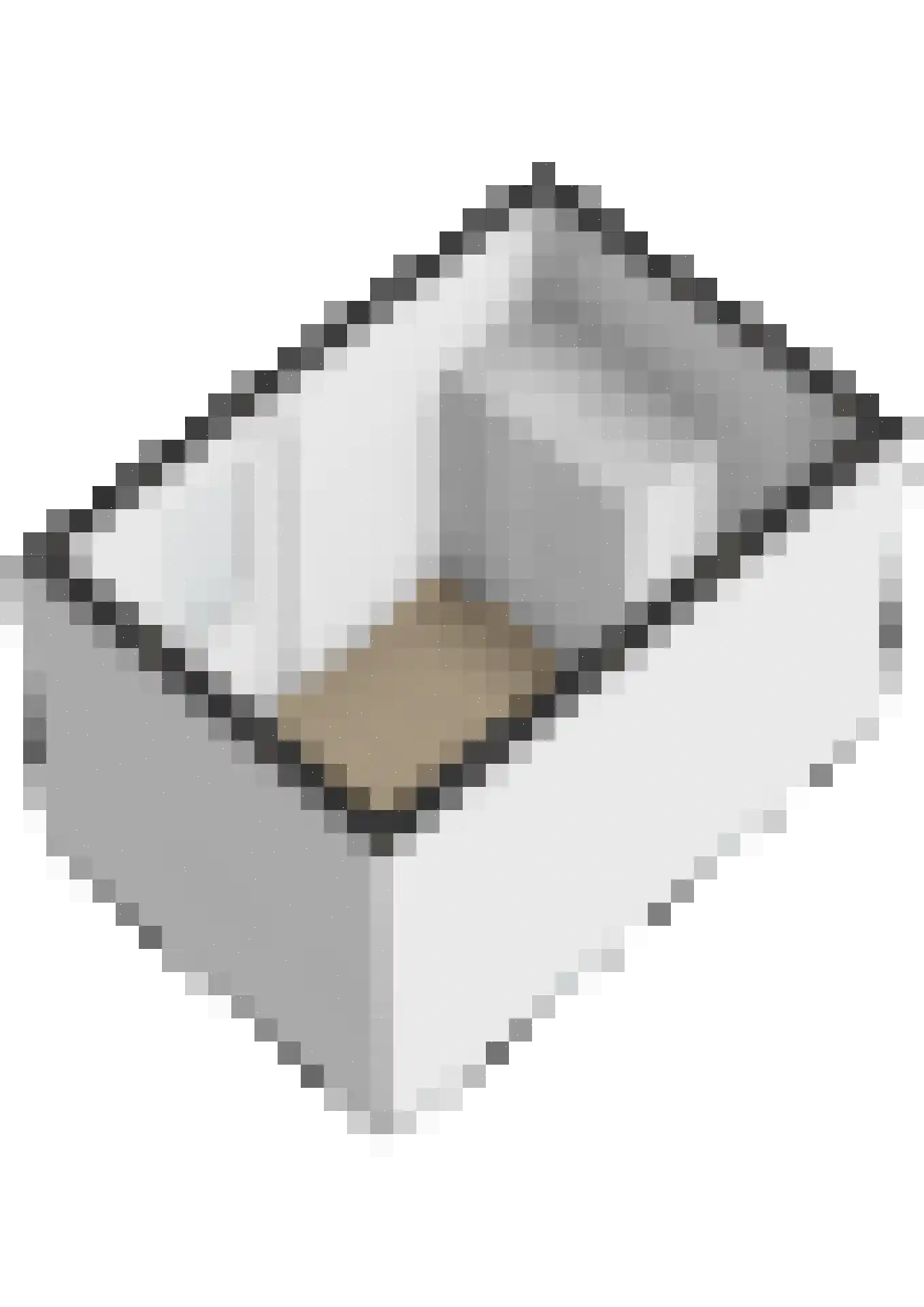 Pastoor C. Vasselaan 9 De Kwakel thumbnail 35