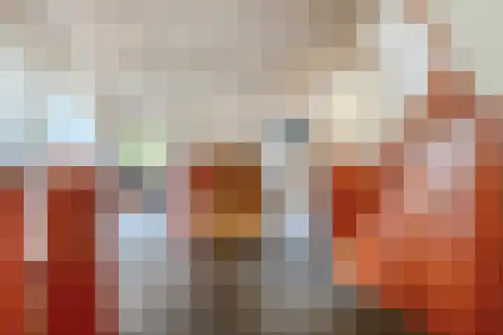Pastoor Castelijnsstraat 25 Handel thumbnail 27