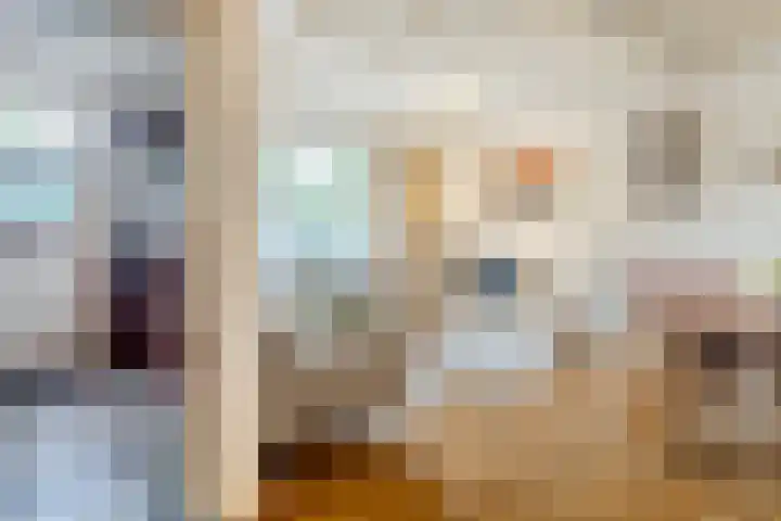Pastoor Castelijnsstraat 25 Handel thumbnail 7