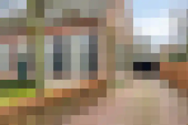 Pastoor Castelijnsstraat 33 Handel thumbnail 10