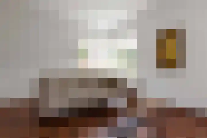 Pastoor Castelijnsstraat 38 Handel thumbnail 8