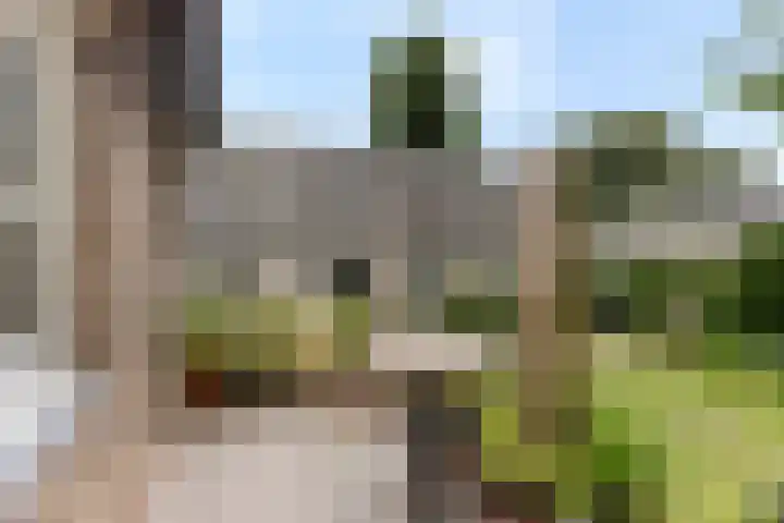 Pastoor Castelijnsstraat 48 Handel thumbnail 35