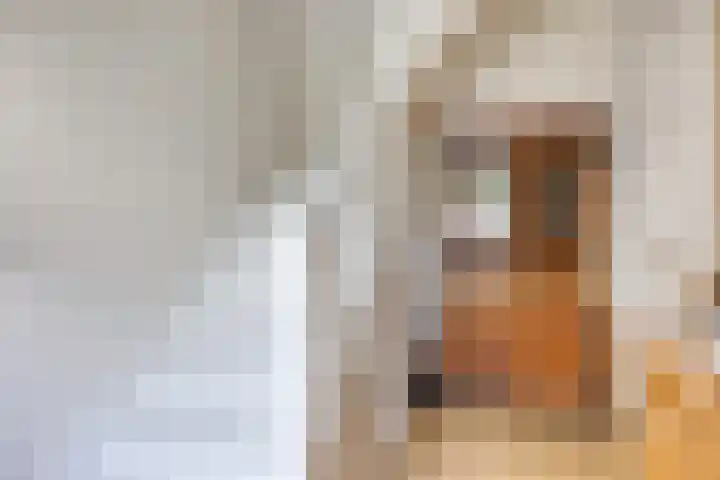 Pastoor Castelijnsstraat 48 Handel thumbnail 43