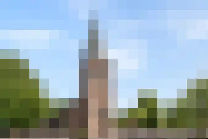 Pastoor Castelijnsstraat 48 Handel thumbnail 62
