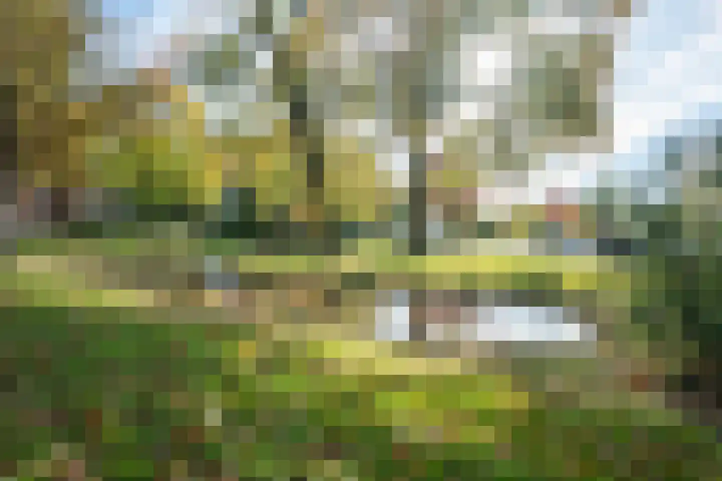 Pastoor Chappinstraat 38 Sittard thumbnail 46