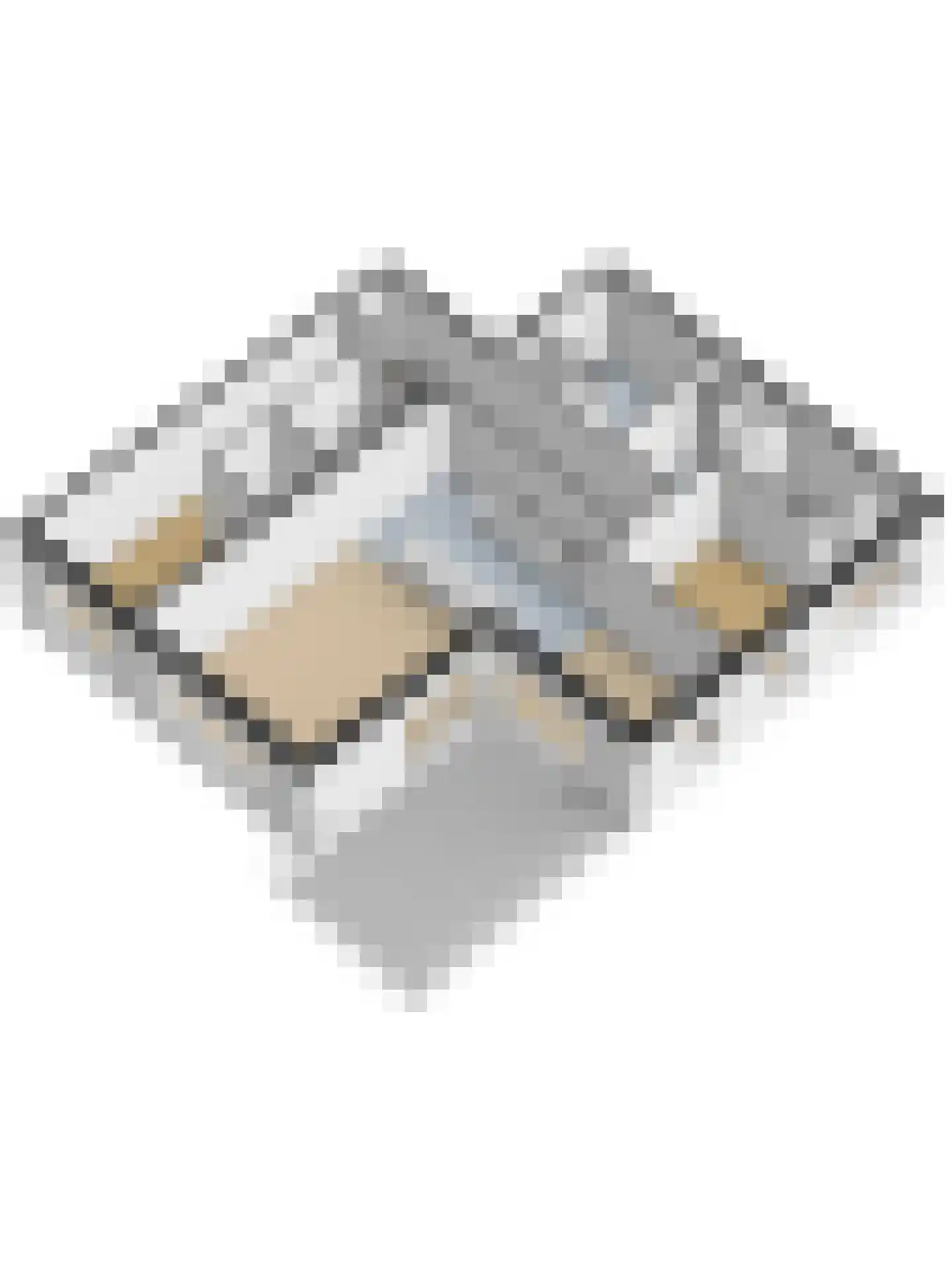 Pastoor Chappinstraat 56 Sittard thumbnail 37