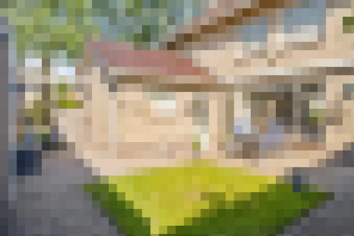 Pastoor Claassenstraat 1 's-Hertogenbosch thumbnail 16