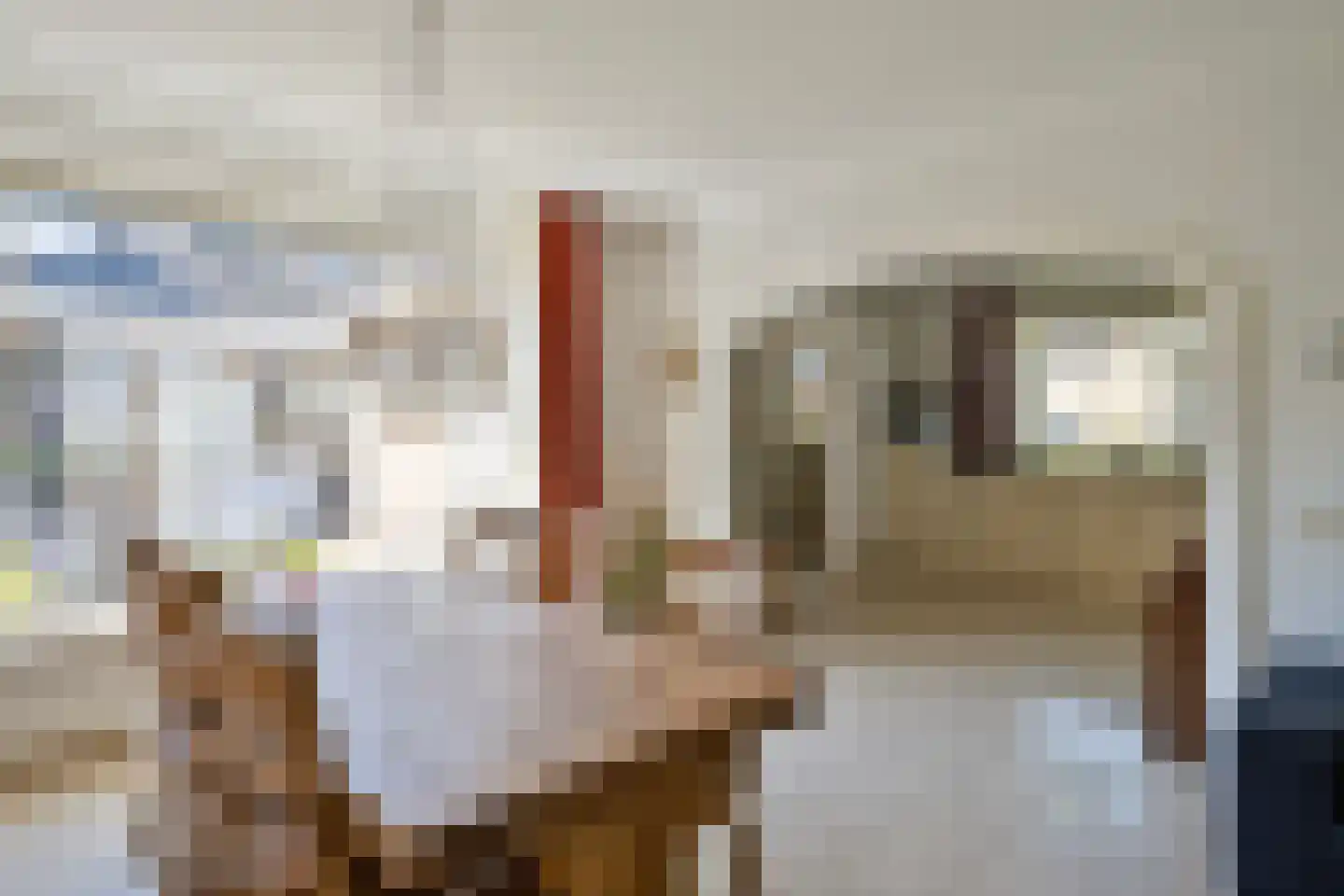 Pastoor Claassenstraat 1 's-Hertogenbosch thumbnail 9