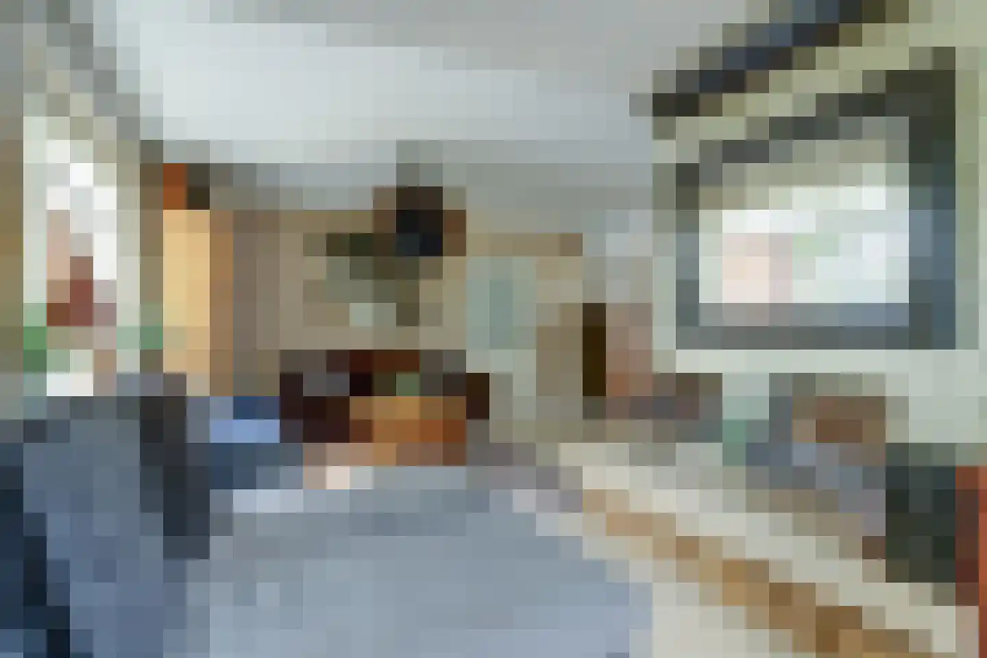 Pastoor Cleerbesemlaan 9 't Veld thumbnail 11