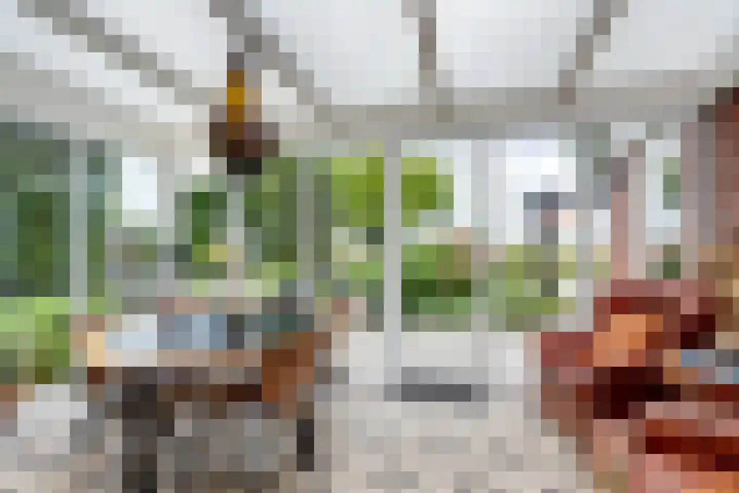 Pastoor Cleerbesemlaan 9 't Veld thumbnail 16