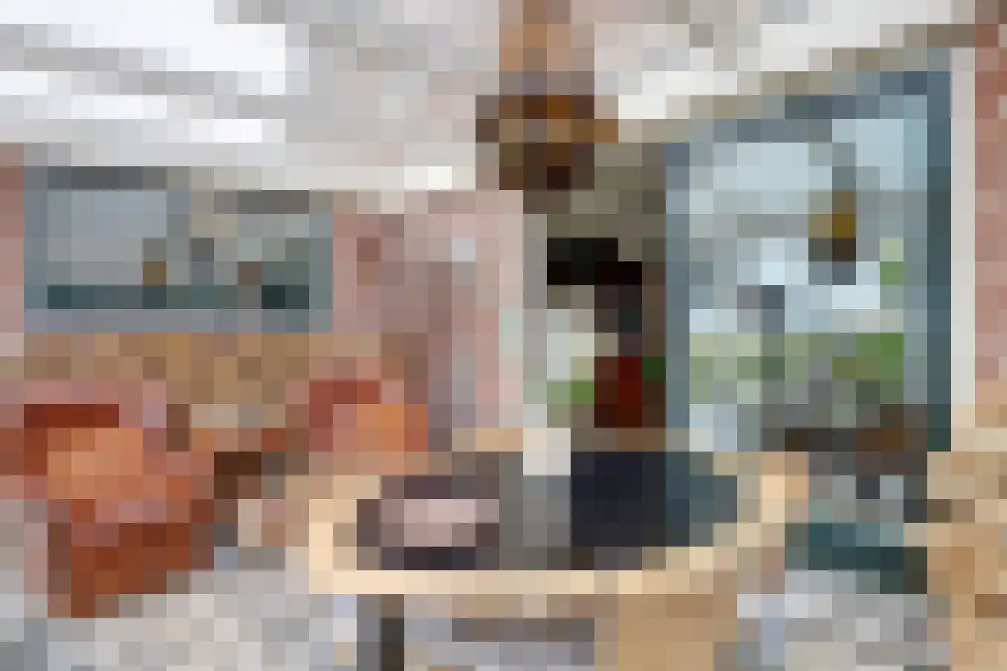 Pastoor Cleerbesemlaan 9 't Veld thumbnail 17
