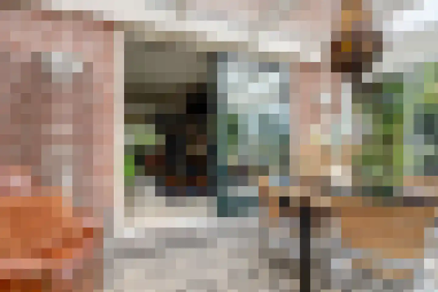 Pastoor Cleerbesemlaan 9 't Veld thumbnail 18