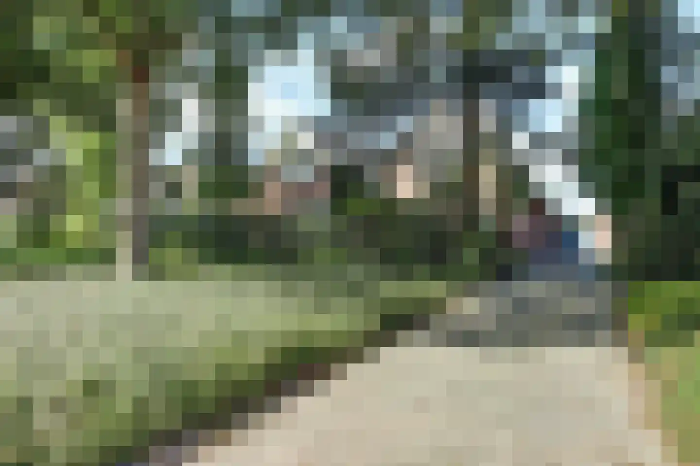 Pastoor Cleerbesemlaan 9 't Veld foto 2
