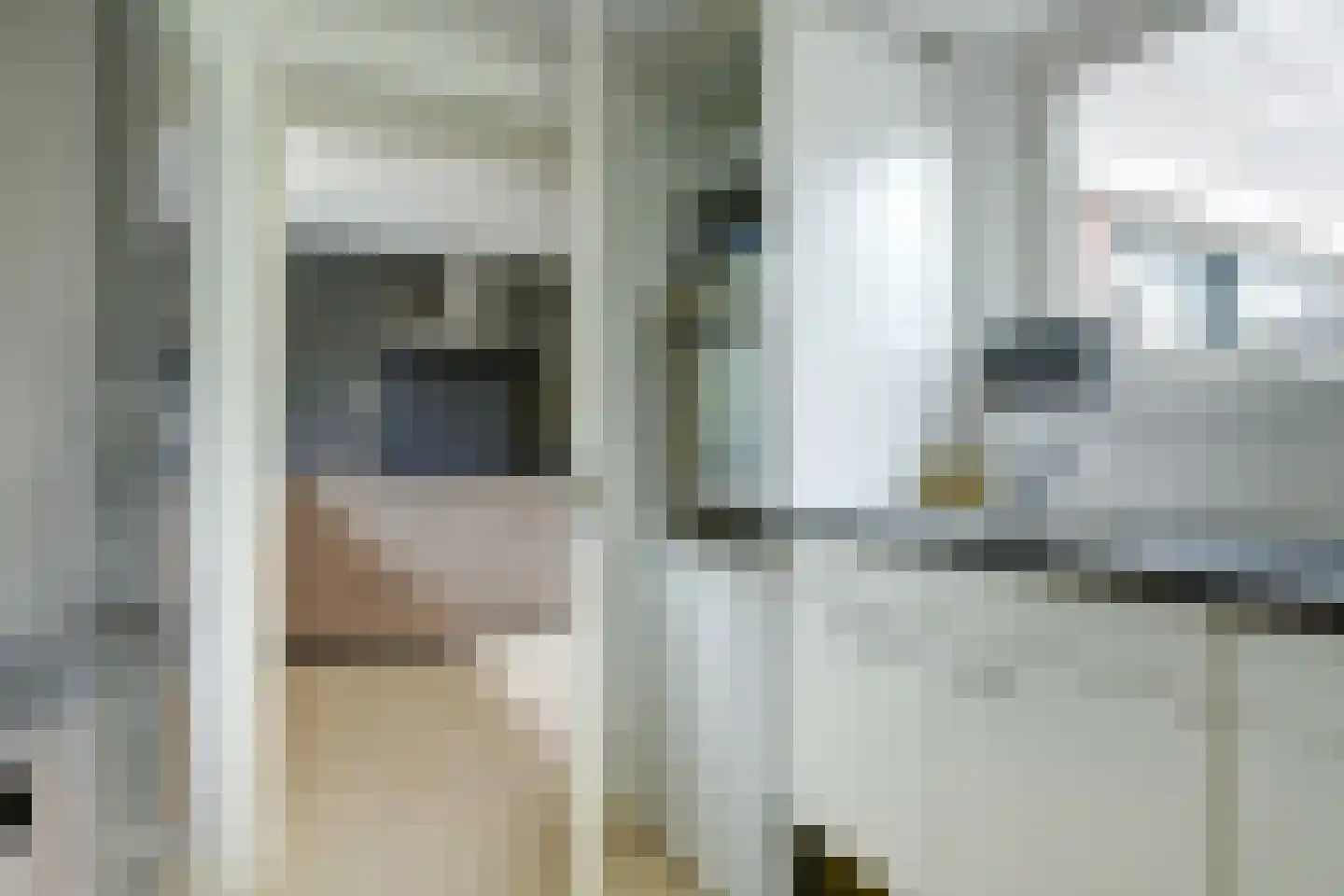 Pastoor Cleerbesemlaan 9 't Veld thumbnail 24