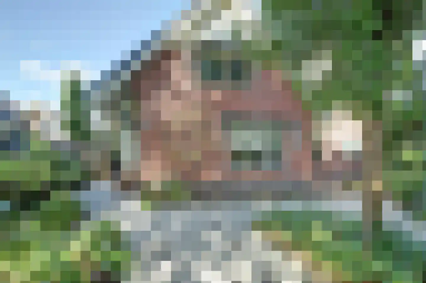 Pastoor Cleerbesemlaan 9 't Veld foto 3