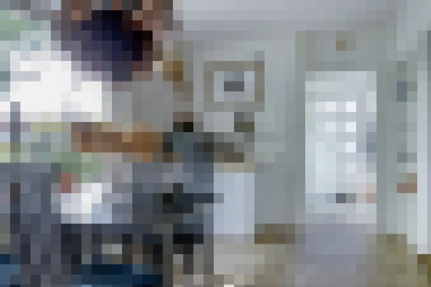 Pastoor Cleerbesemlaan 9 't Veld thumbnail 37