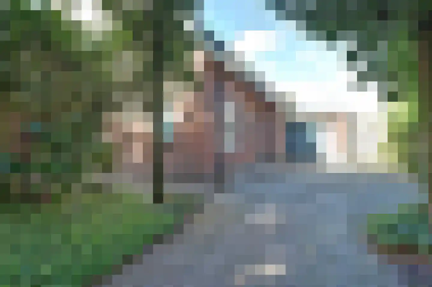 Pastoor Cleerbesemlaan 9 't Veld thumbnail 4