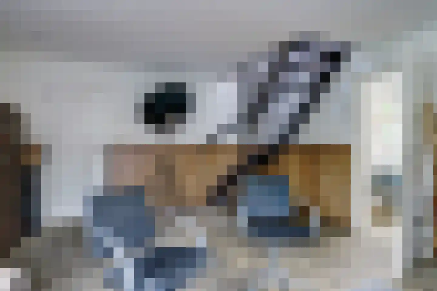 Pastoor Cleerbesemlaan 9 't Veld thumbnail 40