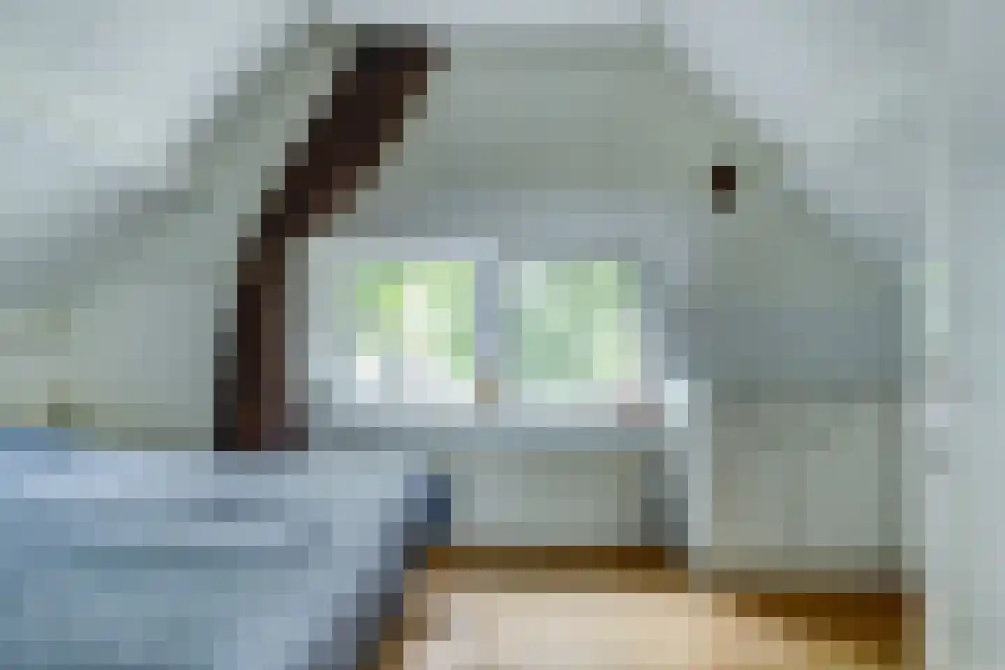 Pastoor Cleerbesemlaan 9 't Veld thumbnail 42