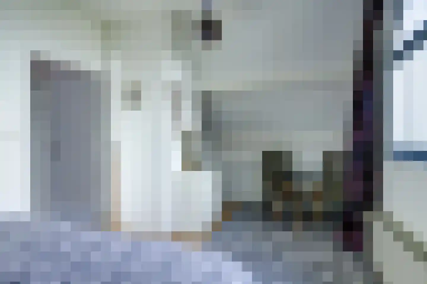 Pastoor Cleerbesemlaan 9 't Veld thumbnail 46