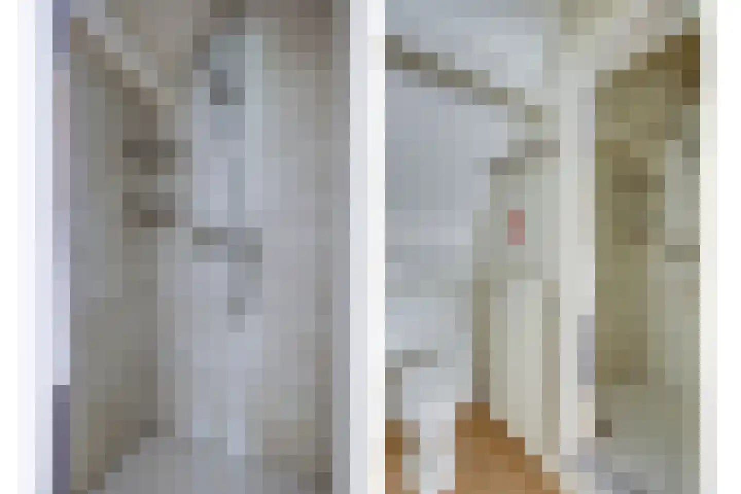 Pastoor Cleerbesemlaan 9 't Veld thumbnail 47