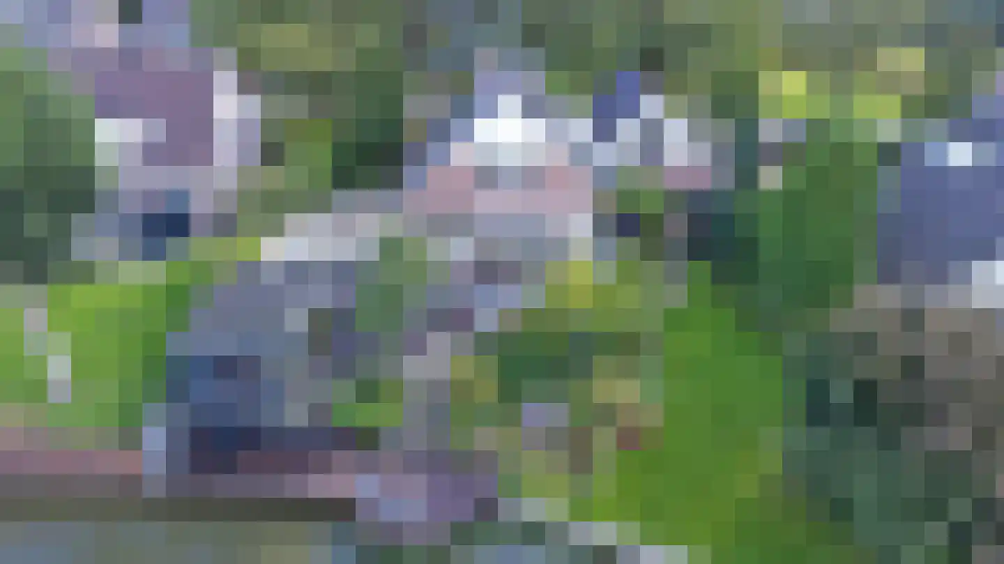 Pastoor Cleerbesemlaan 9 't Veld thumbnail 48