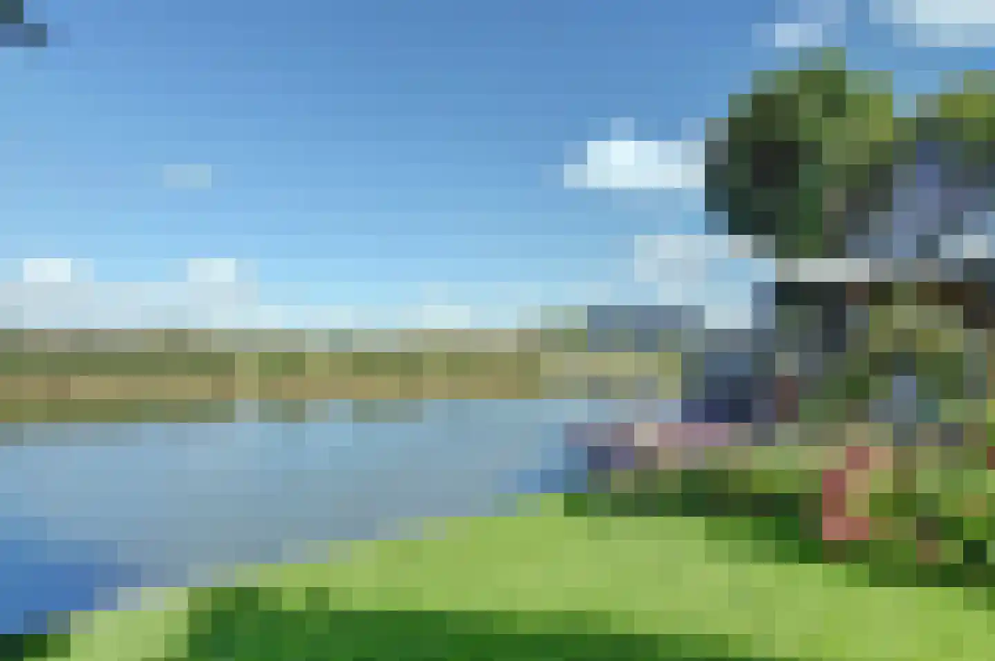 Pastoor Cleerbesemlaan 9 't Veld thumbnail 50