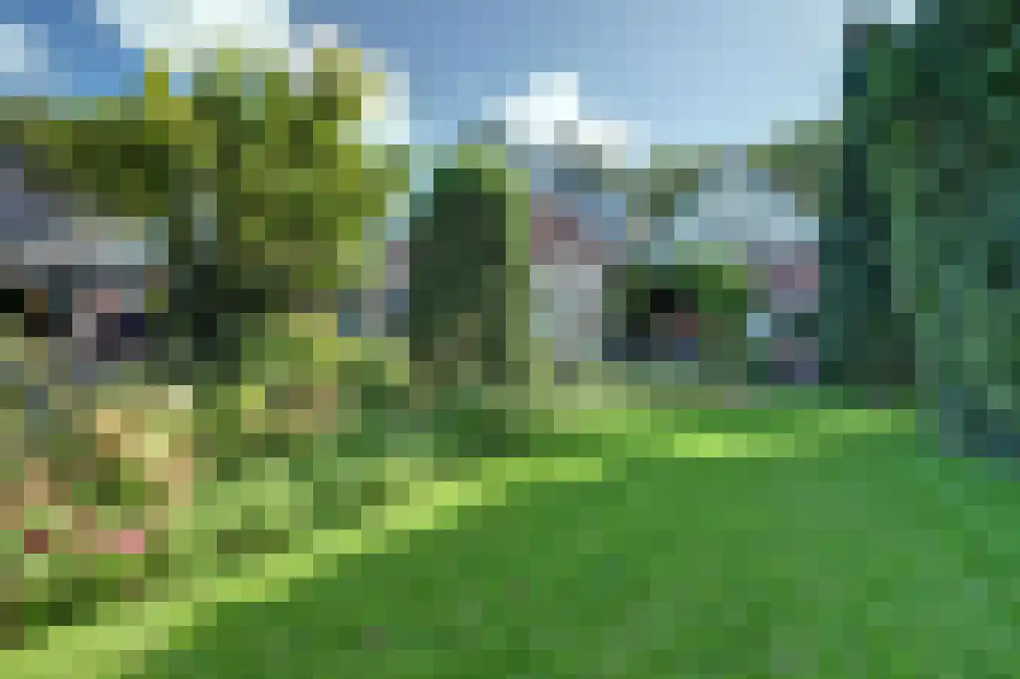 Pastoor Cleerbesemlaan 9 't Veld thumbnail 51