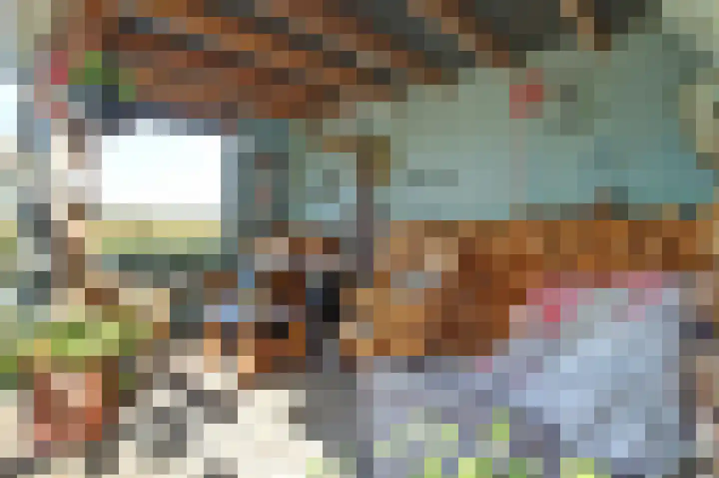 Pastoor Cleerbesemlaan 9 't Veld thumbnail 53