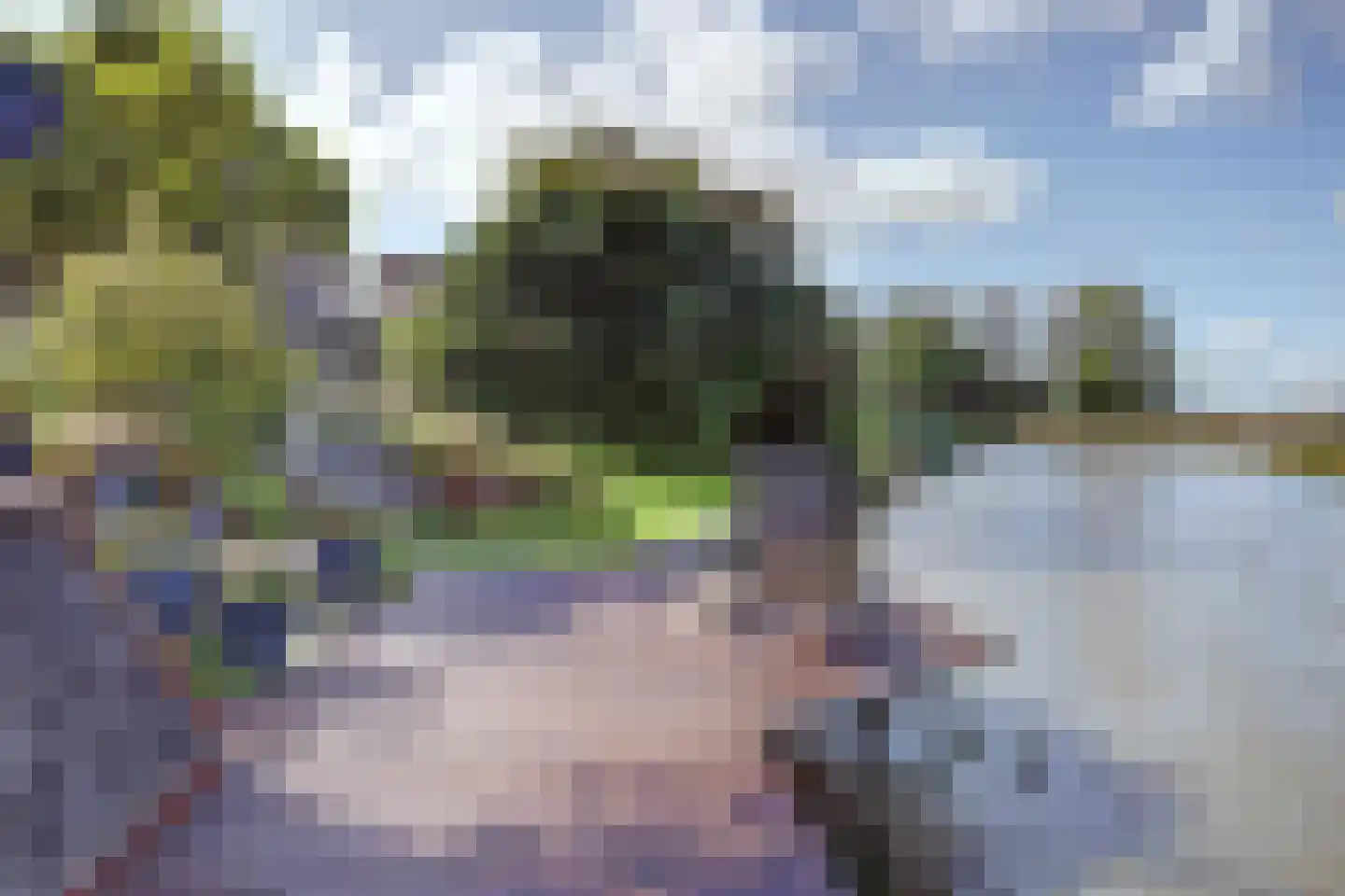 Pastoor Cleerbesemlaan 9 't Veld thumbnail 56