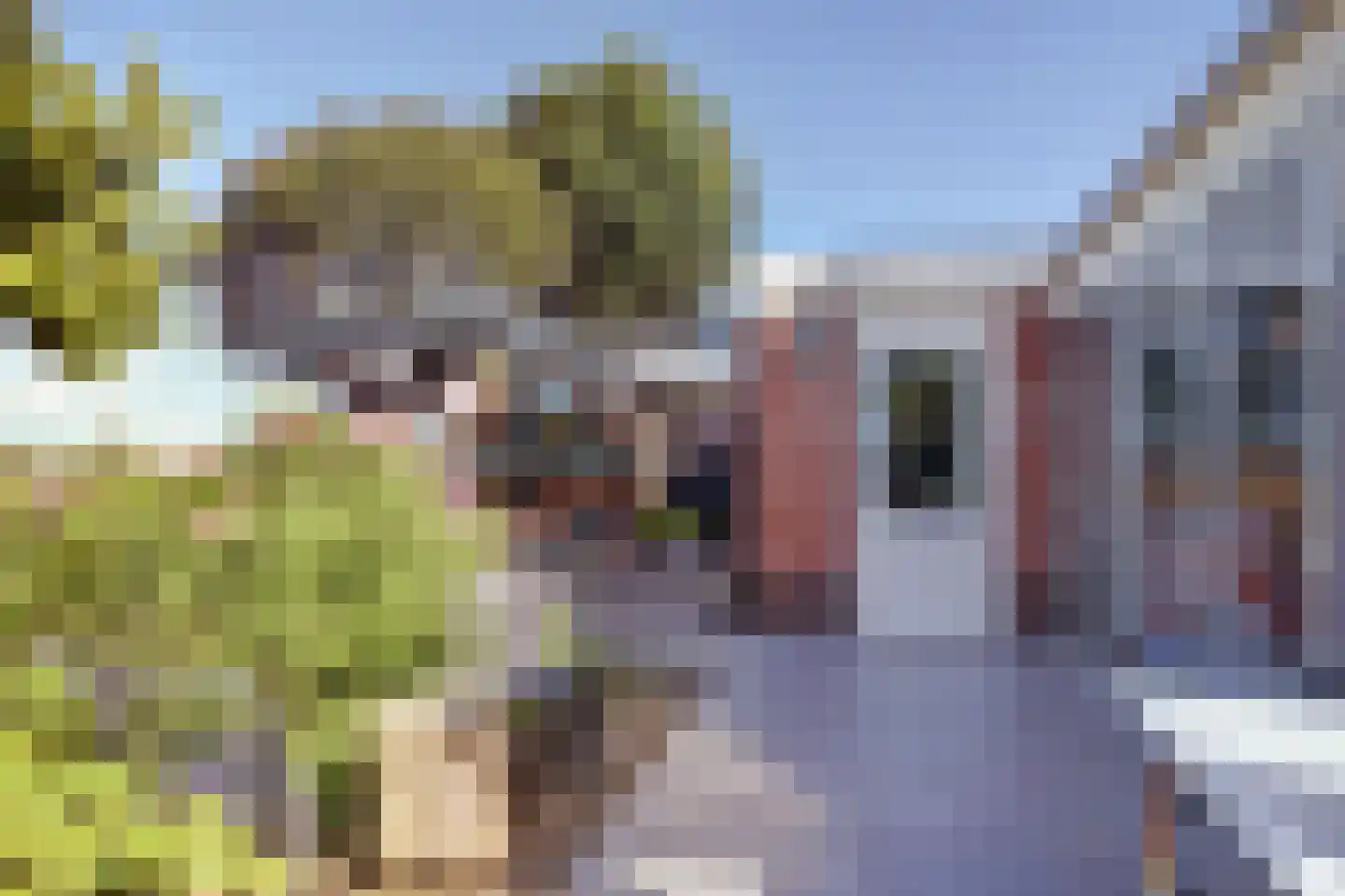 Pastoor Cleerbesemlaan 9 't Veld thumbnail 58