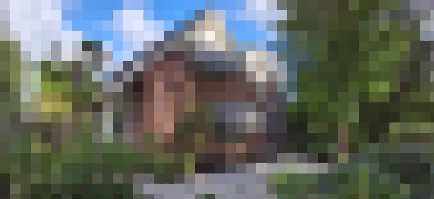 Pastoor Cleerbesemlaan 9 't Veld thumbnail 61