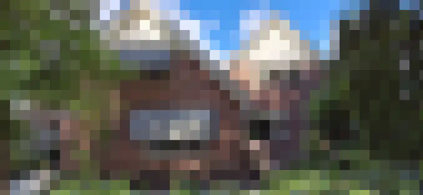 Pastoor Cleerbesemlaan 9 't Veld thumbnail 62